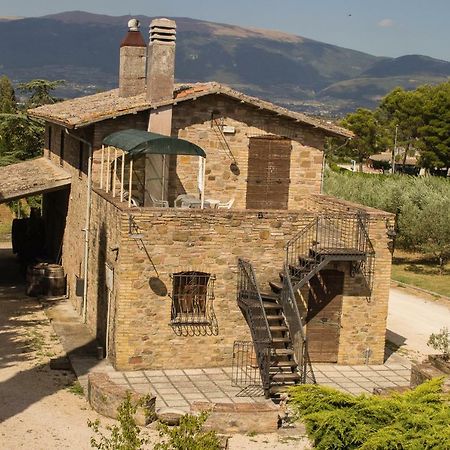 Country House Carmelita Limigiano Εξωτερικό φωτογραφία